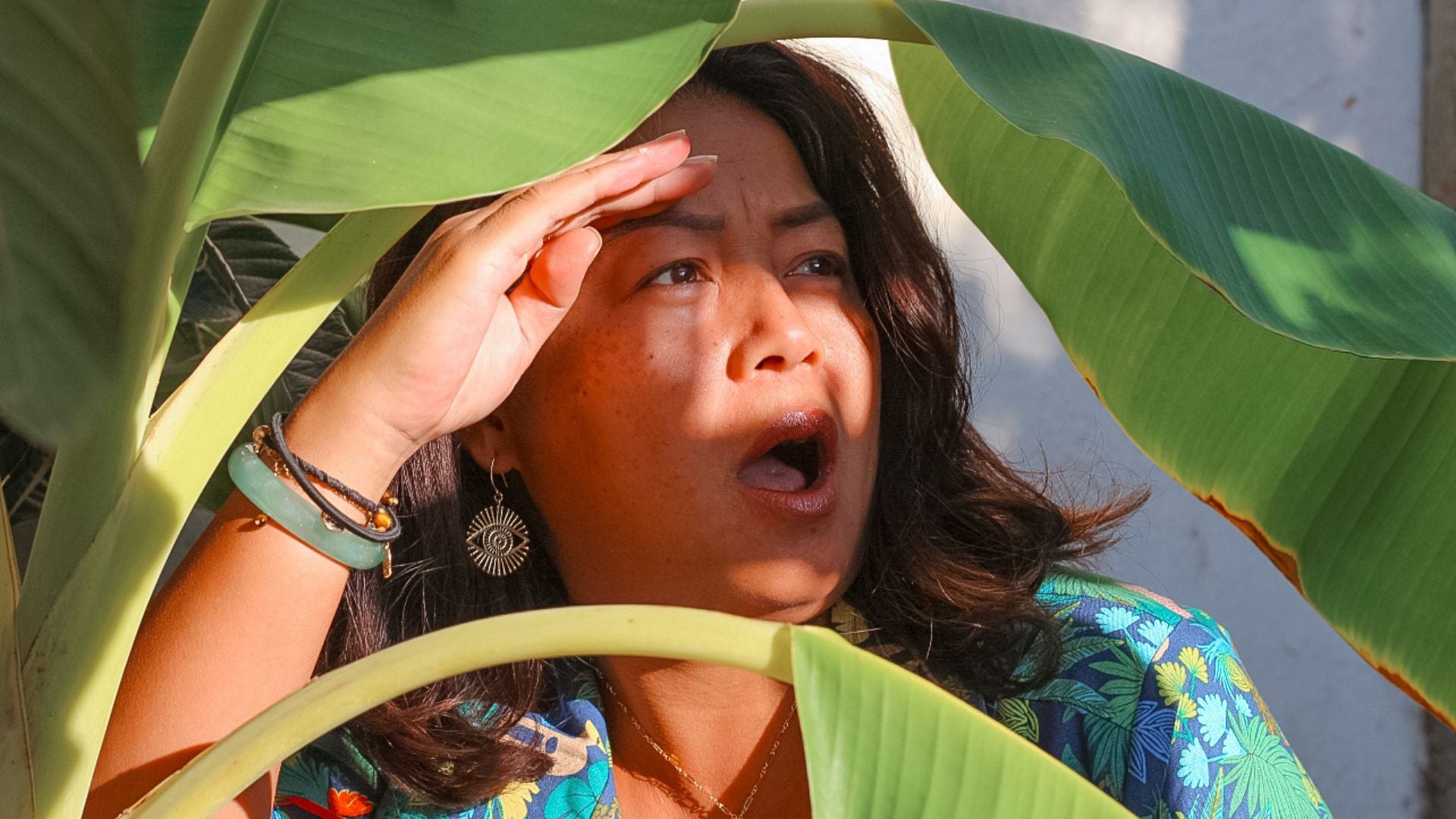 5 Ways Not to Kill Your Plant