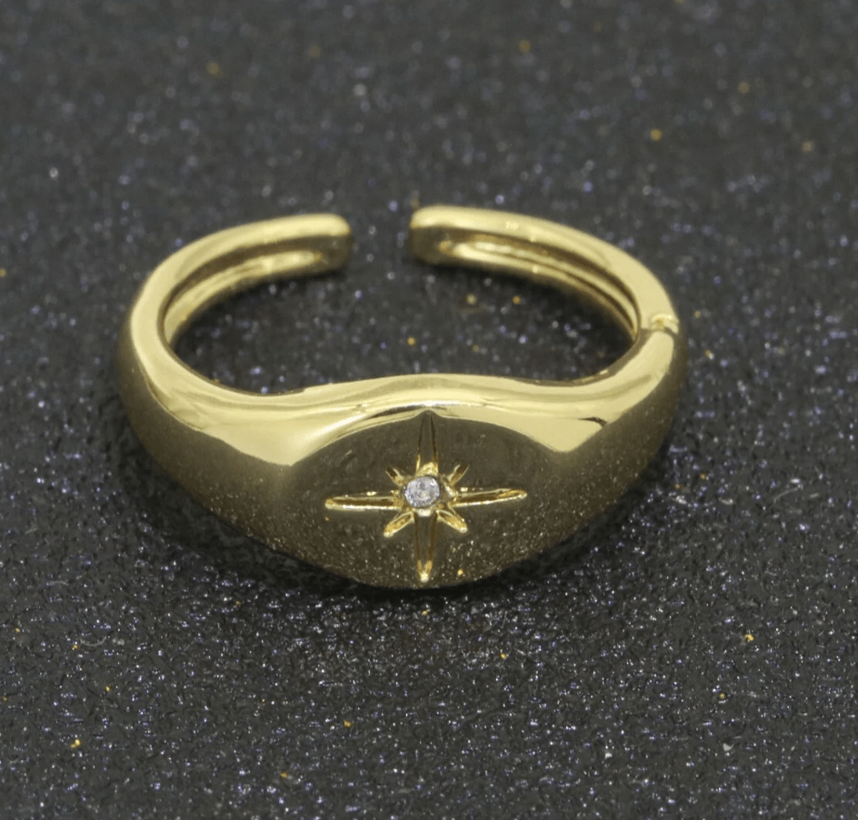 Warung Adjustable Ring Dainty Signet with Star