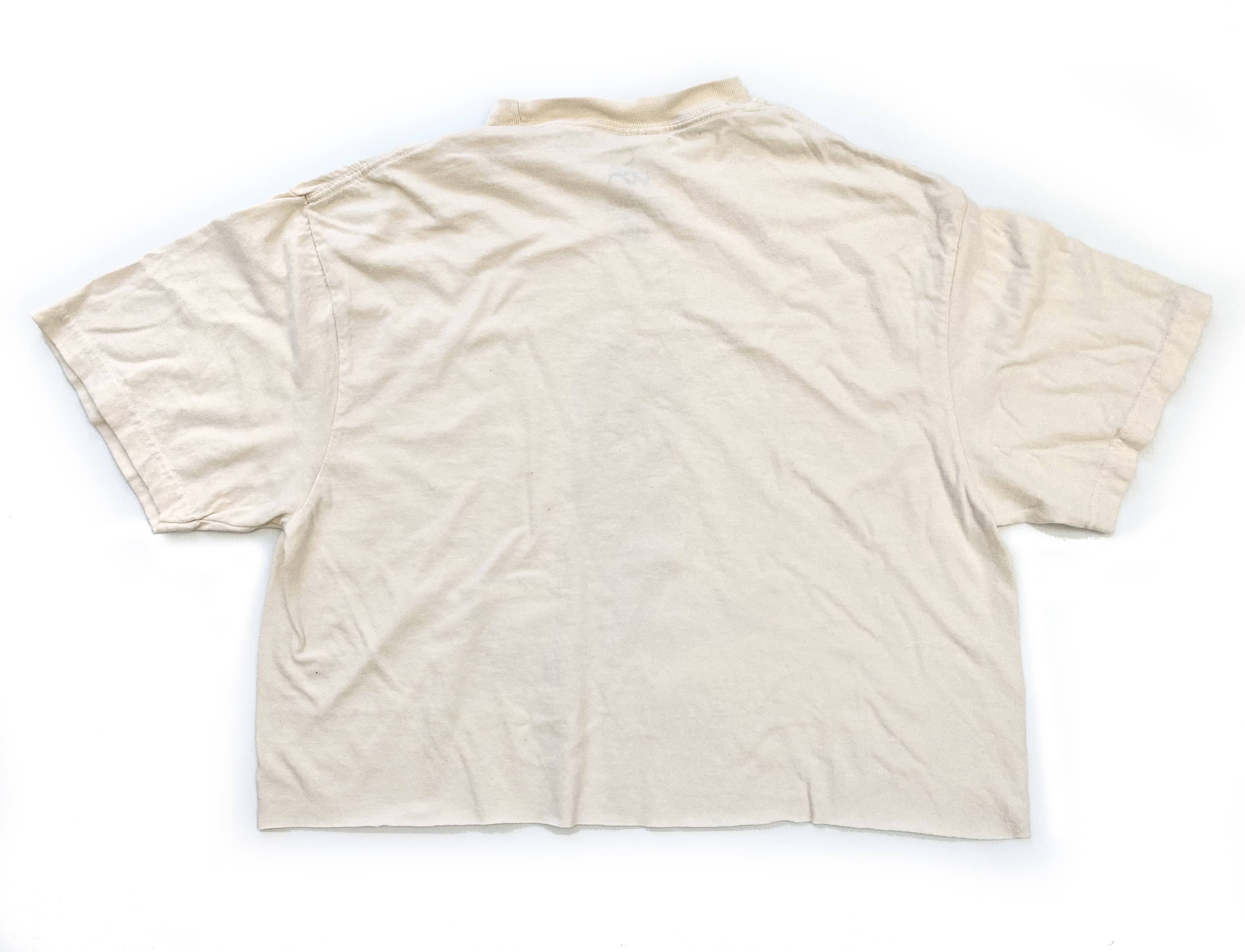 Desert Trips Mid-Crop T Dainty