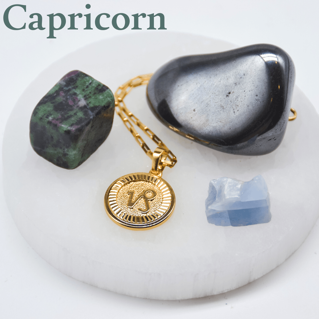 Zodiac Medallion Necklace Dainty Capricorn Zodiac Medallion Necklace | Gold Filled Jewelry | Zodiac Symbols