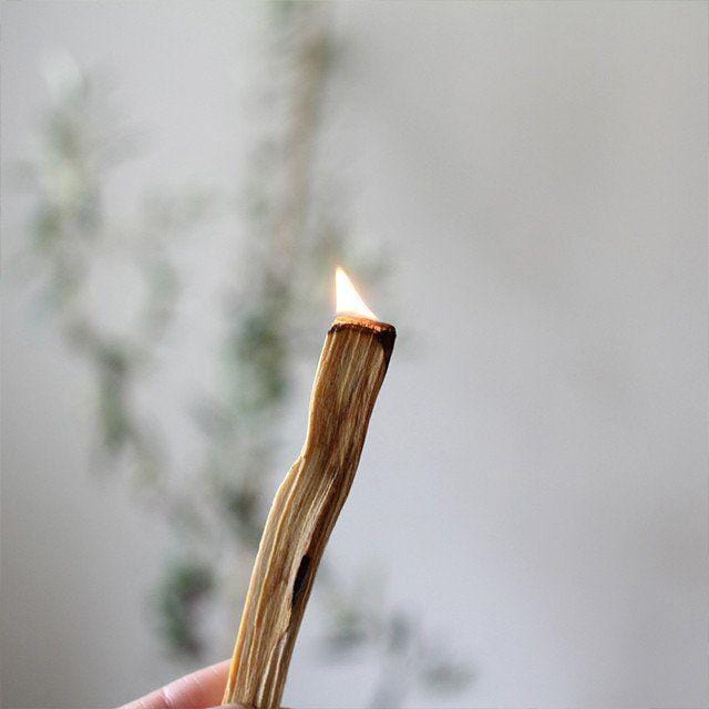 Citrine Quartz Sage Wand Dainty Health + Wellness