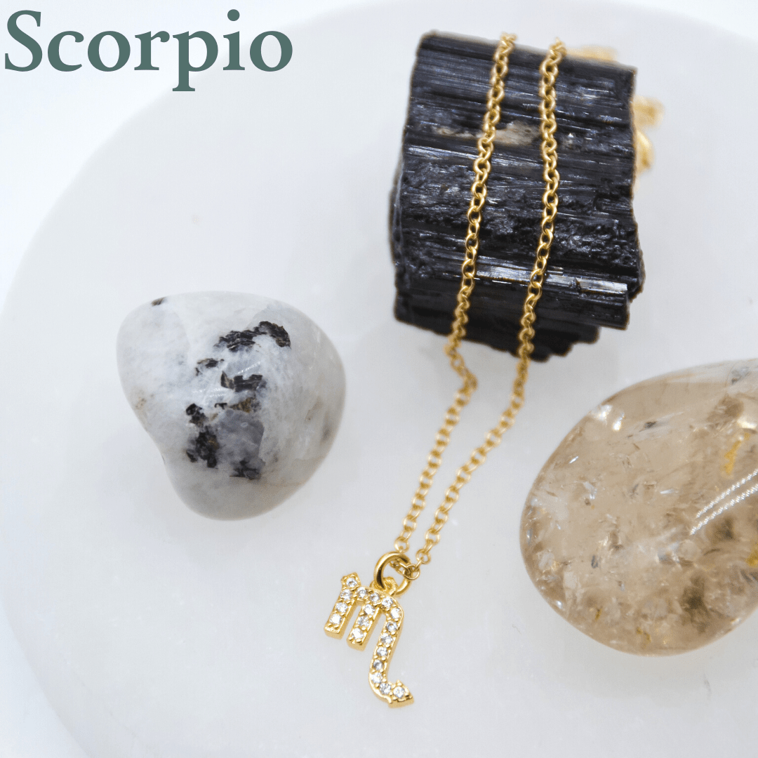 Dainty CZ Zodiac Necklace Dainty Scorpio Dainty CZ Zodiac Necklace | Gold Filled Jewelry | Zodiac Symbols