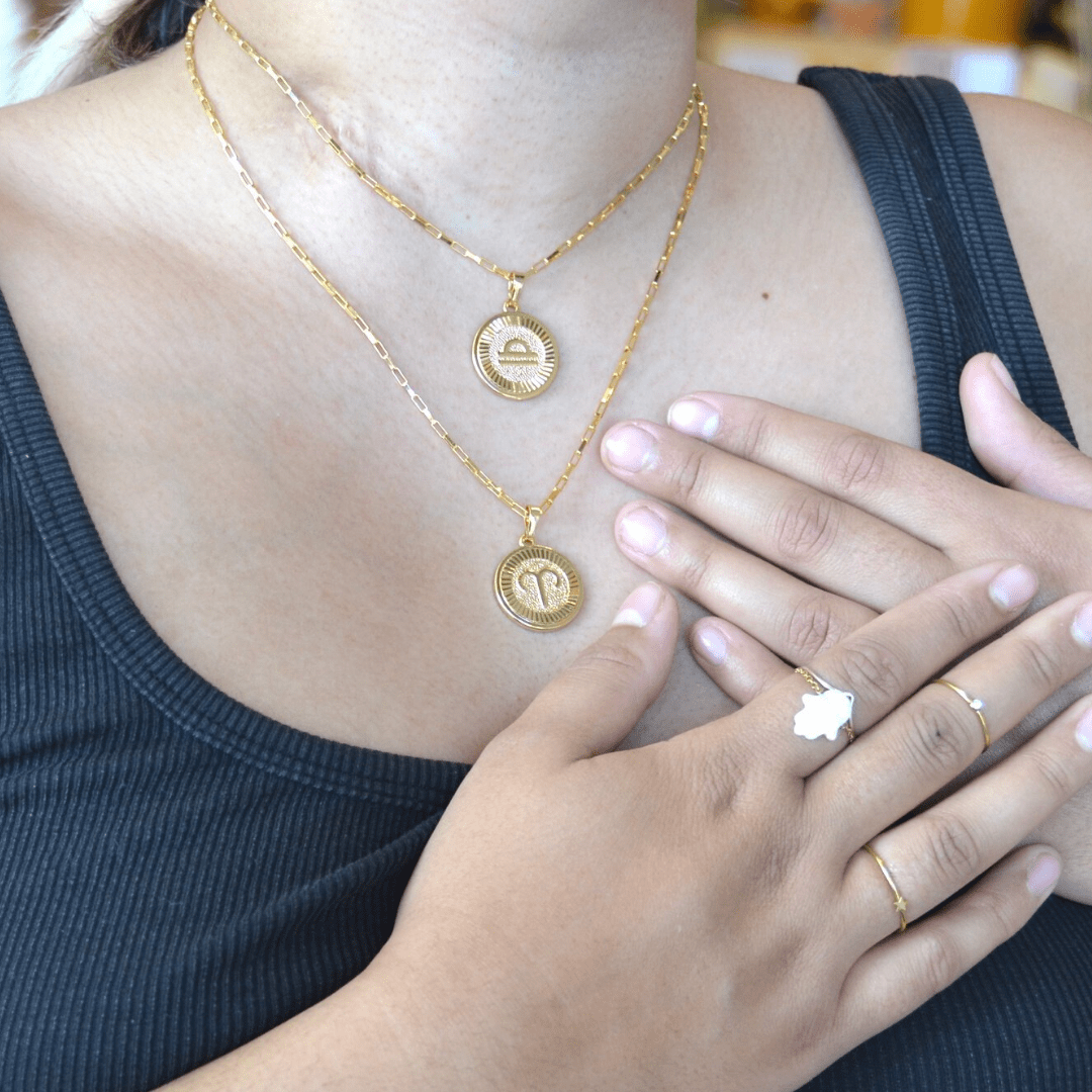 Zodiac Medallion Necklace Dainty Zodiac Medallion Necklace | Gold Filled Jewelry | Zodiac Symbols