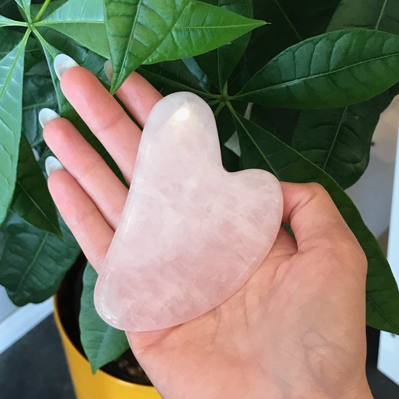 Gua Sha Dainty Health + Wellness Rose Quartz