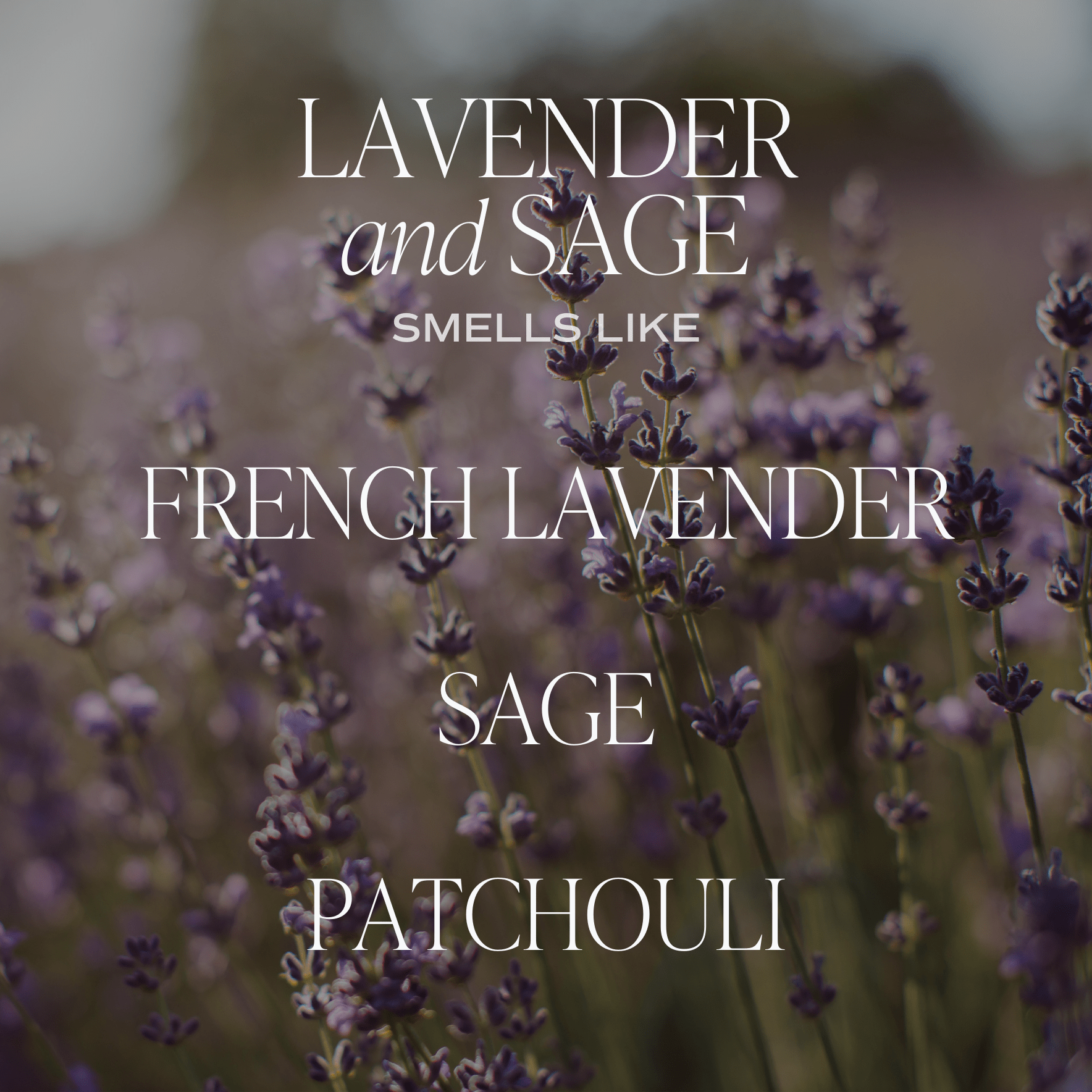 Lavender and Sage Reed Diffuser - Gifts & Home Decor Dainty