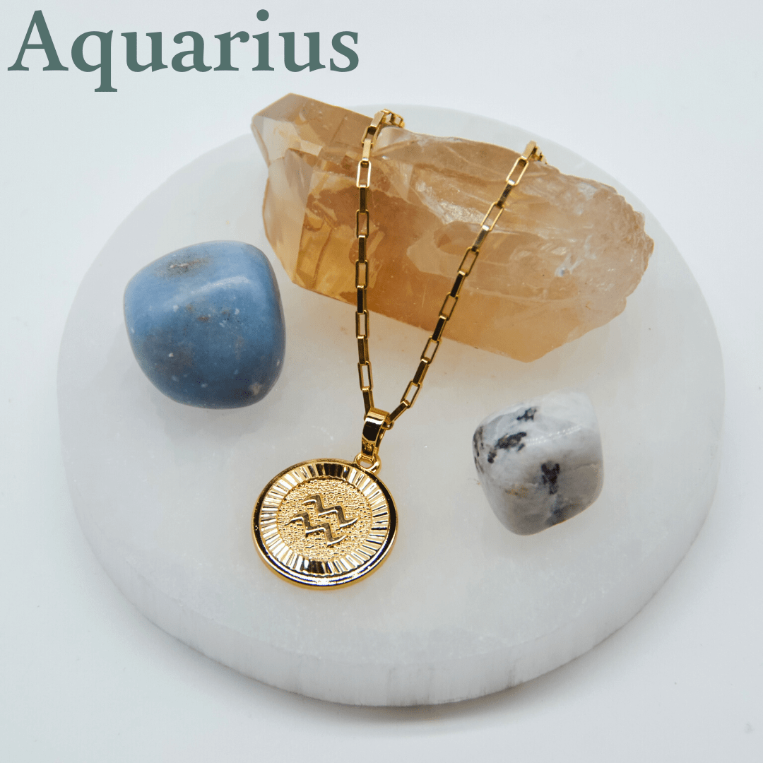 Zodiac Medallion Necklace Dainty Aquarius Zodiac Medallion Necklace | Gold Filled Jewelry | Zodiac Symbols
