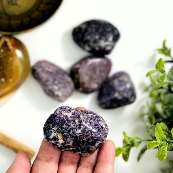 Lepidolite (Tumbled) Dainty Crystals