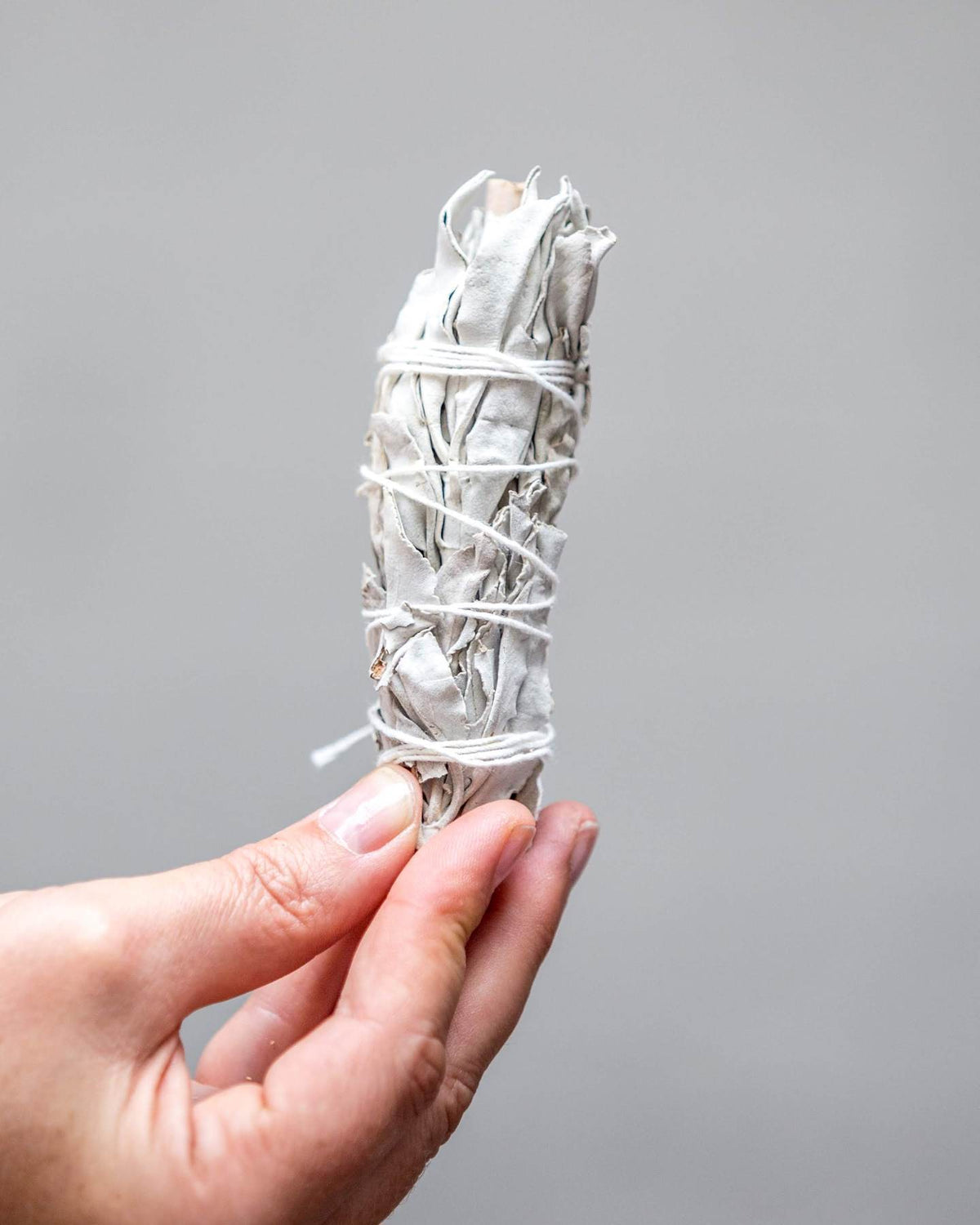 White Sage Wand Dainty Health + Wellness White Sage Wand | For clearing your space and energy