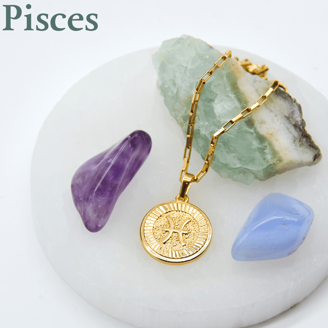 Zodiac Medallion Necklace Dainty Pisces Zodiac Medallion Necklace | Gold Filled Jewelry | Zodiac Symbols