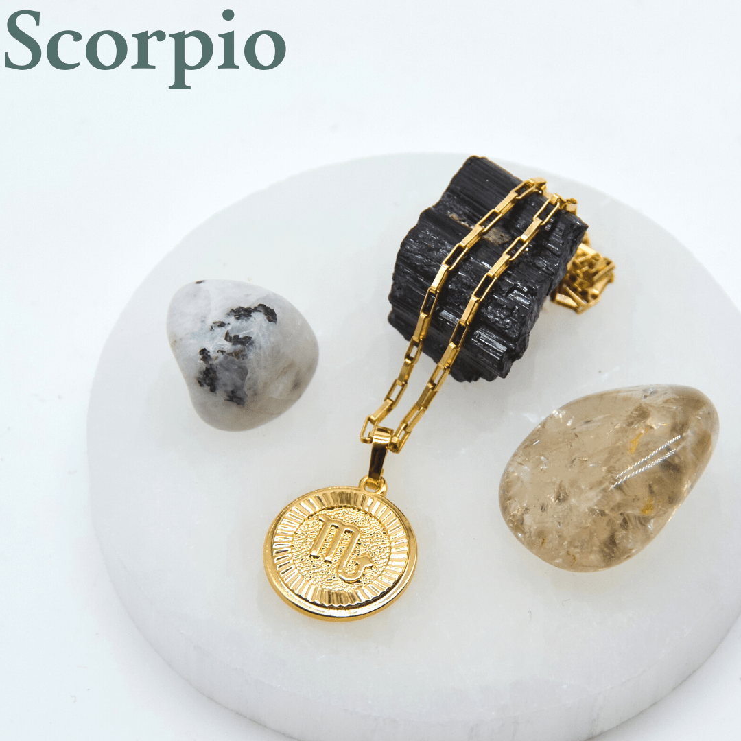 Zodiac Medallion Necklace Dainty Scorpio Zodiac Medallion Necklace | Gold Filled Jewelry | Zodiac Symbols
