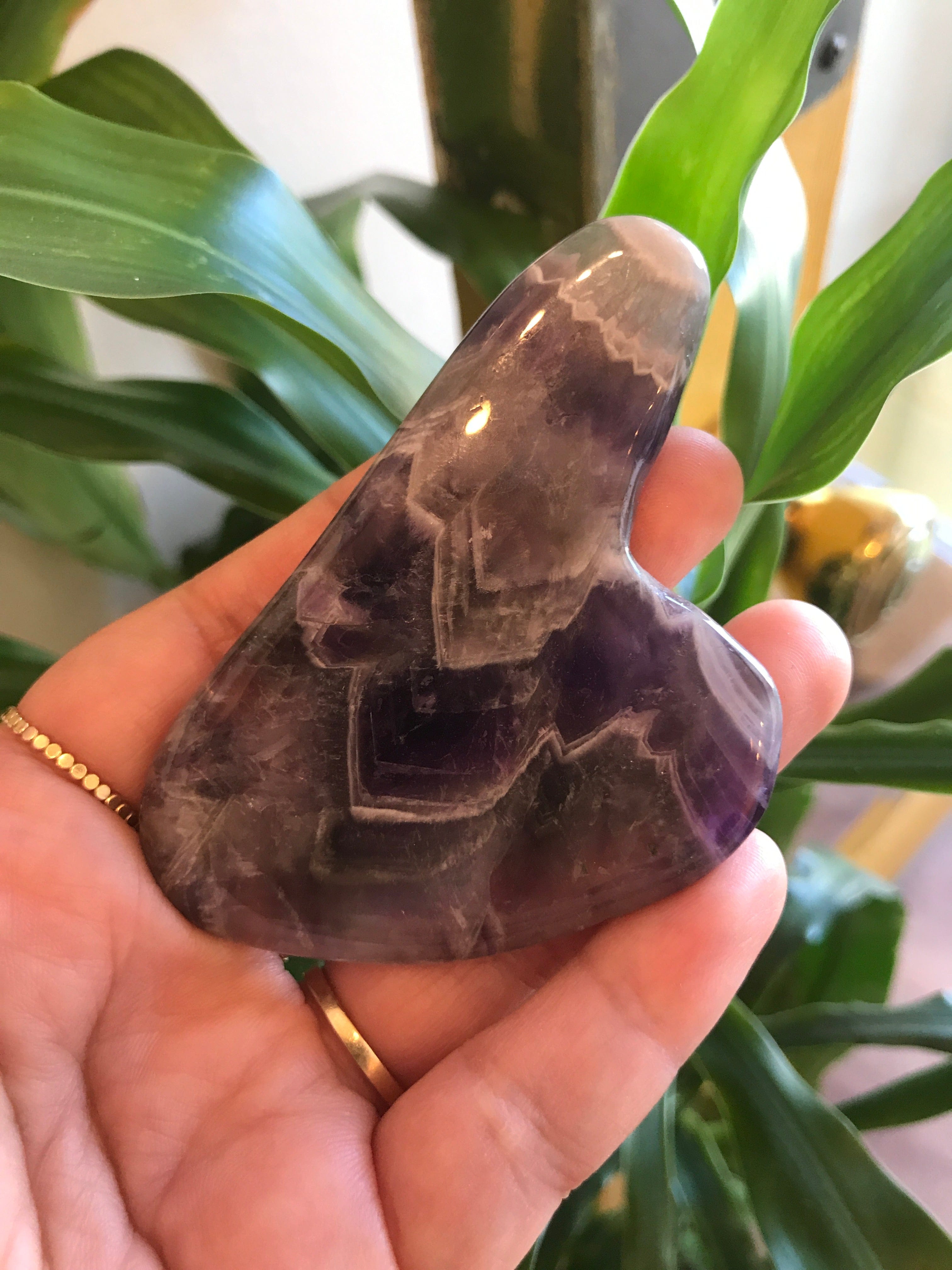 Gua Sha Dainty Health + Wellness Amethyst